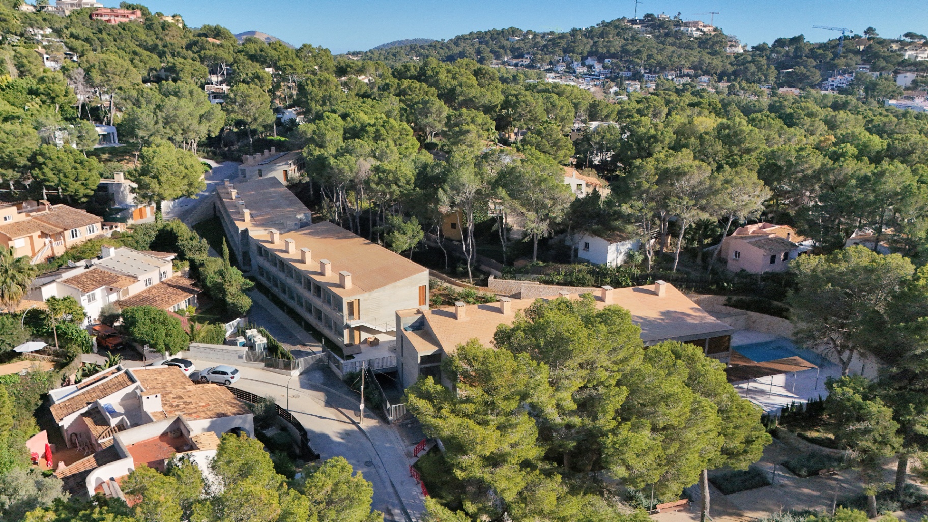 Aerial view of the Olivium estate among pine woods